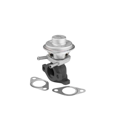 Billede af WAHLER 712069D EGR Ventil pneumatisk FIAT: Ducato III Van, Ladvogn / Chassis, Bus