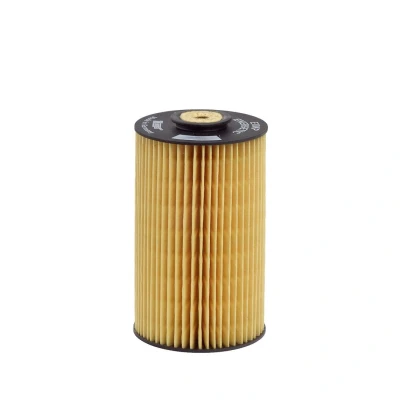 Billede af HENGST FILTER E10KP D10 Brændstoffilter Filterindsats VOLVO: F 80, MAN: M 90