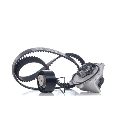 Billede af INA 530 0376 30 vandpumpe + Tandremssæt med ROVER: 75