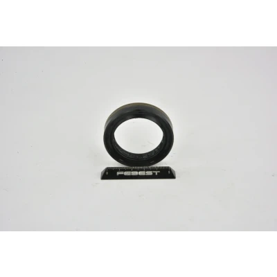 Billede af FEBEST 95NES 40551010C Pakninger FORD: FIESTA 6, FOCUS 3 Turnier, C Max 2