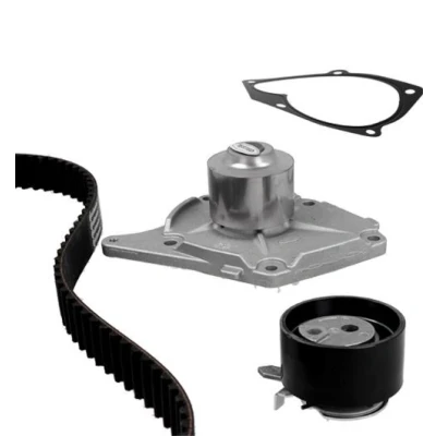 Billede af METELLI 30 0821 2 Vandpumpe + Tandremssæt RENAULT: CLIO 2, MEGANE Kombi, SCENIC