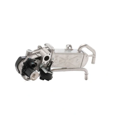 Billede af MAGNETI MARELLI 571822112070 EGR Ventil SKODA: Fabia 2, Roomster, SEAT: Ibiza 4, 4 ST, VOLKSWAGEN: Polo V Hatchback