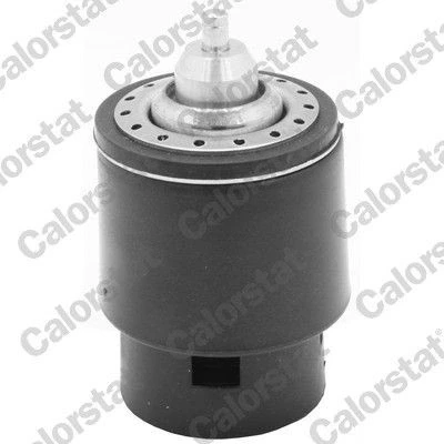 Billede af CALORSTAT by Vernet TH7266.95 Termostat 95 VOLKSWAGEN: up! Hatchback, SEAT: Leon III ST