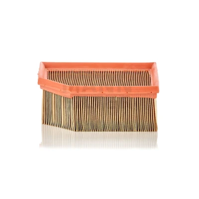 Billede af MANN FILTER C 1995 Luftfilter 70 171 189, 139 Filterindsats CITROËN: Berlingo / First I, I Van