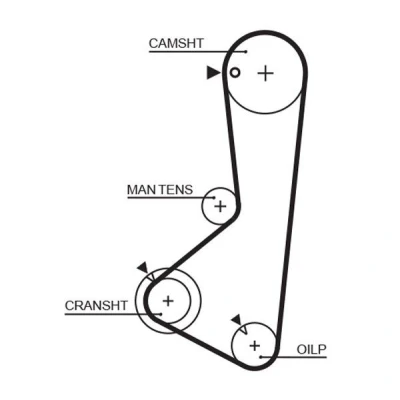 Billede af GATES 1256RM Tandrem 122 1162 24 Fiberglas, Polykloropren (Neopren) MITSUBISHI: GALANT 4 Stufenheck