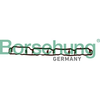 Billede af Borsehung B19250 Indsugningspakning AUDI: A6 C6 Avant, A4 B8 Sedan, VOLKSWAGEN: Passat B6 Variant, Golf 5, B7 Variant