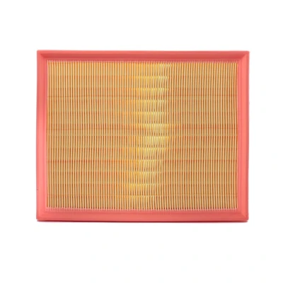 Billede af AUTOMEGA 180027610 Luftfilter Filterindsats AUDI: A4 B7 Avant, B6 Sedan