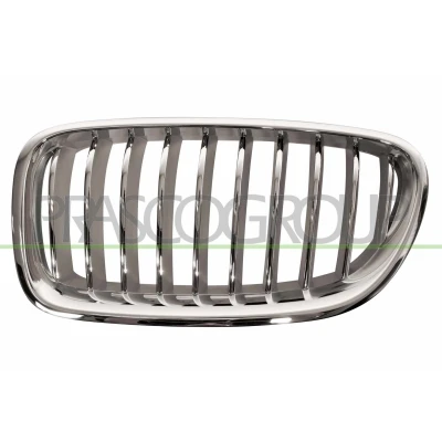 Billede af PRASCO BM0502014 Kølergitter venstre titan, sort BMW: 5 Touring, Sedan