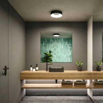 Billede af Paulmann HomeSpa Casca loftslampe Ø30cm sort