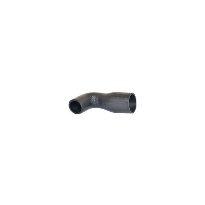 Billede af BUGIAD 87619 Trykslange 43 SEAT: Alhambra I, VOLKSWAGEN: Sharan I