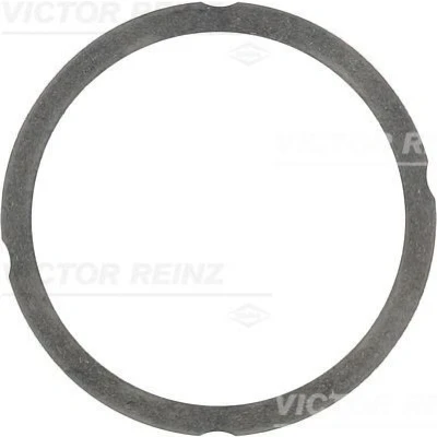 Billede af REINZ 61 25475 20 Toppakning 1,1 102,6