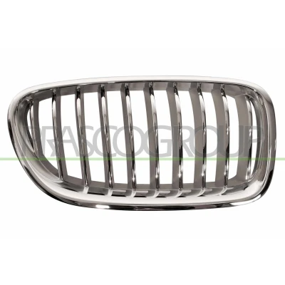 Billede af PRASCO BM0502013 Kølergitter højre titan, sort BMW: 5 Touring, Sedan