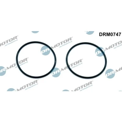 Billede af DR.MOTOR AUTOMOTIVE DRM0747 Pakninger AUDI: A6 C6 Sedan, Avant, VOLKSWAGEN: Golf 5