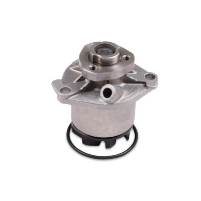 Billede af HEPU P524 Vandpumpe med pakning mekanisk Metal VOLKSWAGEN: TRANSPORTER 4 Bus, GOLF 4, 3, SEAT: Alhambra I