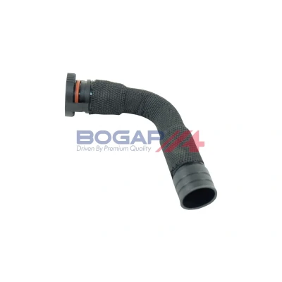 Billede af BOGAP A1210173 Krumtaphusventilation SKODA: Octavia 2 Combi, II Hatchback, I VOLKSWAGEN: Golf 5, 4, Caddy 3