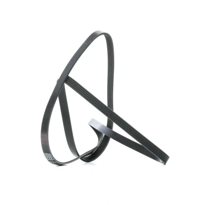 Billede af FEBI BILSTEIN 28888 Kileribberem 2025 5 EPDM (ethyl propylen dien gummi) BMW: 3 Sedan, Touring