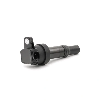 Billede af BERU ZS476 Tændspole 12 Spring KIA: Picanto II, HYUNDAI: i10 I, II Hatchback