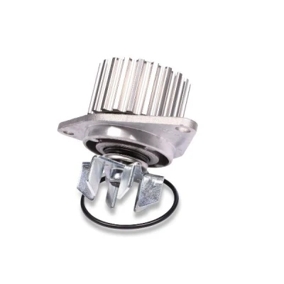 Billede af HEPU P813 Vandpumpe 20 med pakning mekanisk PEUGEOT: 207 SW, 405 I Sedan, 206 Hatchback, CITROËN: C3 Saxo Hatchback