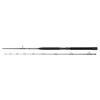 Billede af DAM Salmonizer Trolling rod 240cm 20 35lbs Sea fishing