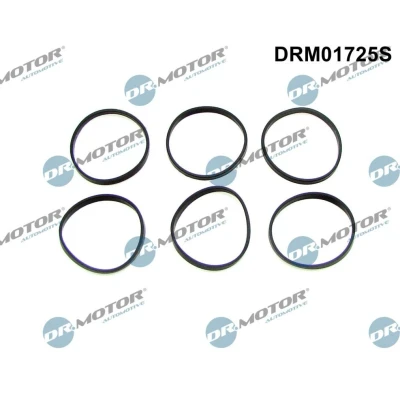 Billede af DR.MOTOR AUTOMOTIVE DRM01725S Pakningssæt, indsugningsmanifold BMW: 5 Touring, 3 Sedan, Touring