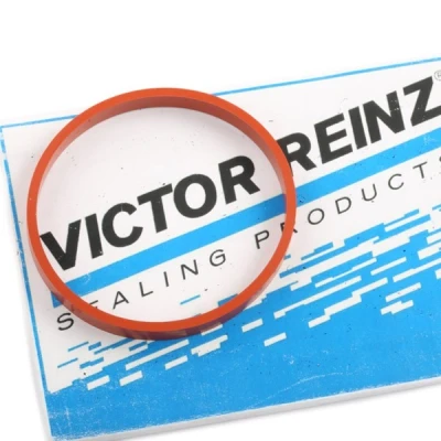 Billede af REINZ 71 17370 00 Indsugningspakning FPM (Flour gummi)