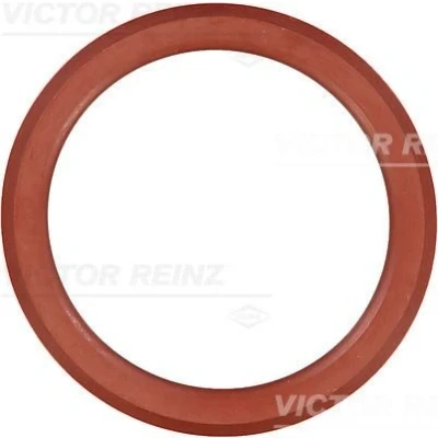 Billede af REINZ 71 38552 00 Toppdekselpakning ACM (polyakryl gummi) CITROËN: C5 II Hatchback, III Stationcar, PEUGEOT: 508 I SW, 407 Sedan