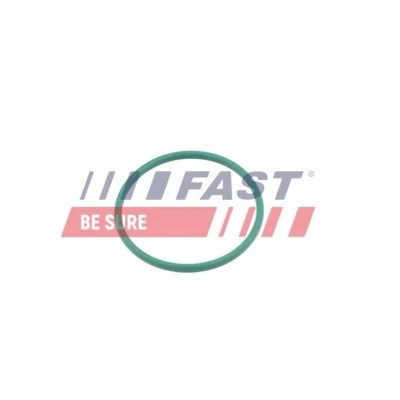 Billede af FAST FT49921 Pakningsring, turboladerslange PEUGEOT: 307 Stationcar, 207 SW, 5008 I, FORD: Focus 2, C Max, 2 Kombi, CITROËN: C4 I Grand Picasso