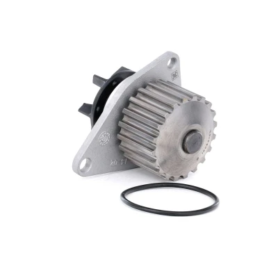 Billede af INA 538 0009 10 Vandpumpe 20 med pakning PEUGEOT: 405 I Sedan, 206 Hatchback, 106 II CITROËN: Saxo Hatchback