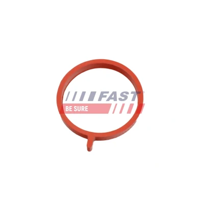 Billede af FAST FT49468 Udstødningspakning FORD: MONDEO 3 Kombi