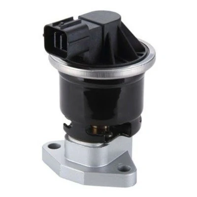Billede af MAGNETI MARELLI 571822112114 EGR Ventil