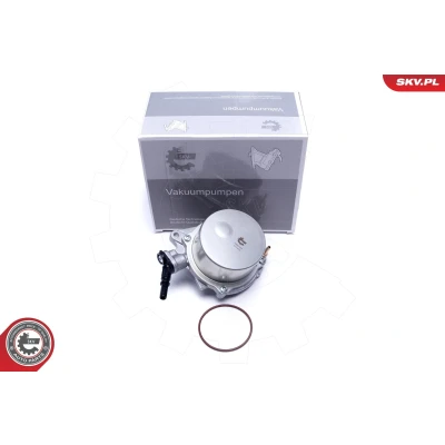 Billede af ESEN SKV 18SKV059 Vakuumpumpe PEUGEOT: 207 Hatchback, MINI: Hatchback