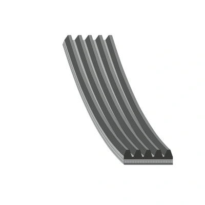 Billede af FEBI BILSTEIN 176318 Kileribberem 491 5 EPDM (ethyl propylen dien gummi) VOLKSWAGEN: Touran I, Polo V Hatchback, Passat B6 Variant, SEAT: Ibiza 4
