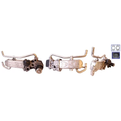 Billede af ELSTOCK 73 0109 EGR Ventil elektrisk med pakninger, køler SKODA: Fabia 2, Roomster, SEAT: Ibiza 4, 4 ST, VOLKSWAGEN: Polo V Hatchback