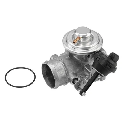Billede af WAHLER 7223D/1 EGR Ventil pneumatisk med pakning