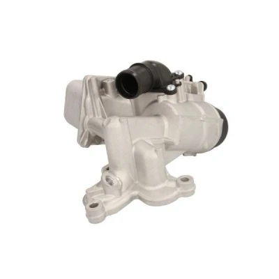 Billede af THERMOTEC D4R009TT Olieradiator RENAULT: TRAFIC 2 Bus, GRAND SCENIC 3, NISSAN: X Trail