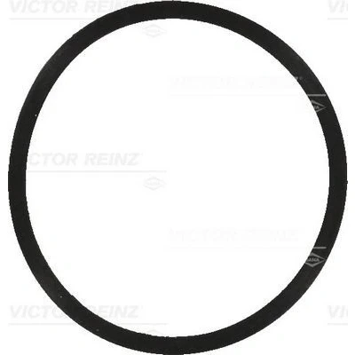 Billede af Pakning, indsugningsmanifold REINZ 40 77570 00