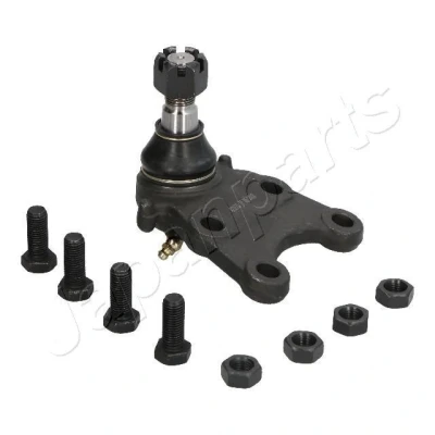 Billede af ASHIKA 73 09 913 Bærekugle foraksel, nede 21 110 OPEL: Campo
