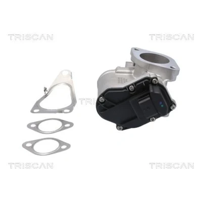 Billede af TRISCAN 8813 25201 EGR Ventil elektrisk med pakninger, uden køler