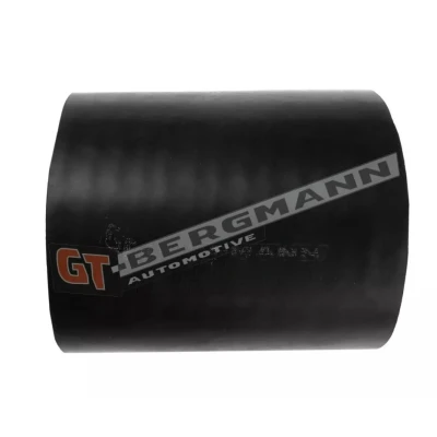 Billede af GATES 09 0559 Trykslange PE (polyethylen) LAND ROVER: Freelander I SUV