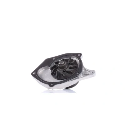 Billede af DOLZ R217 Vandpumpe med remskive NISSAN: Qashqai / Qashqai+2 I, Almera II Hatchback, Note DACIA: LOGAN MCV 2, Lodgy, RENAULT: CLIO Captur