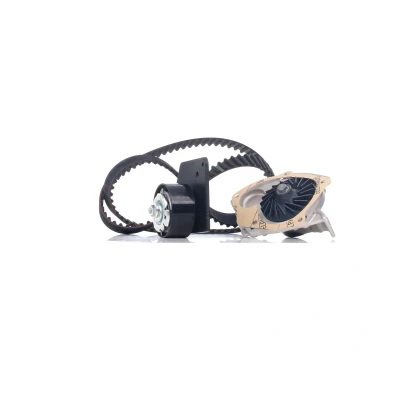 Billede af BOSCH 1 987 946 485 Vandpumpe + Tandremssæt 133 RENAULT: SCENIC 3, MEGANE 3 Grandtour, Grand SUZUKI: Vitara 2 SUV