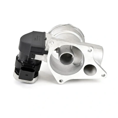 Billede af EGR ventil DELPHI EG10484 12B1