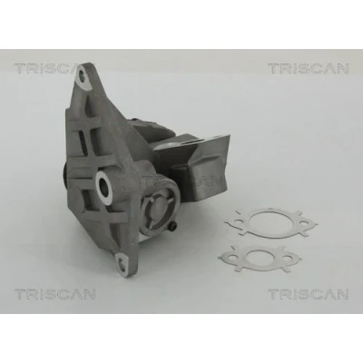 Billede af TRISCAN 8813 29047 EGR Ventil elektrisk med pakninger VOLKSWAGEN: Passat B6 Variant, Golf 5, Sedan, SKODA: Octavia 2 Combi