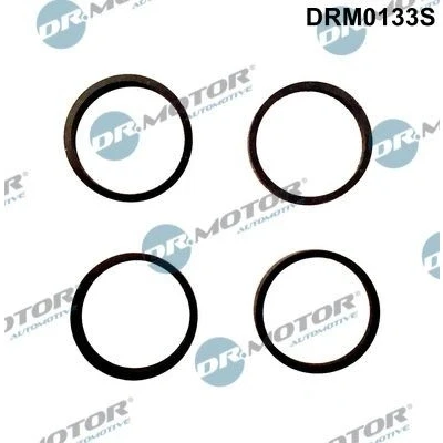 Billede af DR.MOTOR AUTOMOTIVE DRM0133S Pakningssæt, indsugningsmanifold SKODA: FELICIA 1, Octavia I Hatchback, VOLKSWAGEN: Polo III GOLF 3