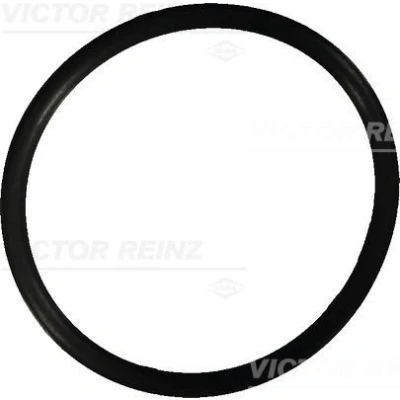 Billede af REINZ 40 76022 10 Pakningsring MERCEDES BENZ: C klasse Sedan