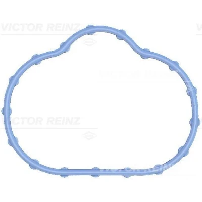 Billede af REINZ 71 17497 00 Indsugningspakning FPM (Flour gummi) JAGUAR: X Type Sedan