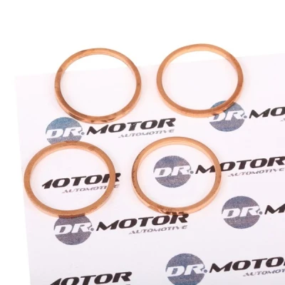 Billede af DR.MOTOR AUTOMOTIVE DRM063S Varmebeskyttelsesskive, indsprøjtningasanlæg PEUGEOT: 206 Hatchback