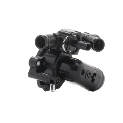 Billede af DAYCO DT1107H Termostat 89 RENAULT: MEGANE 2 Kombi, LAGUNA 3 Grandtour, NISSAN: Qashqai / Qashqai+2 I
