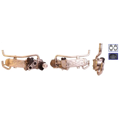 Billede af DRI 717730138 EGR Modul med pakninger, køler VOLKSWAGEN: Polo V Hatchback, SEAT: Ibiza 4 ST, Toledo 4, SKODA: Fabia 2