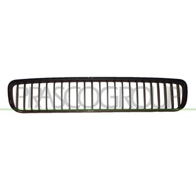 Billede af PRASCO Premium SK3242120 Kofangergitter foran SKODA: Fabia 2